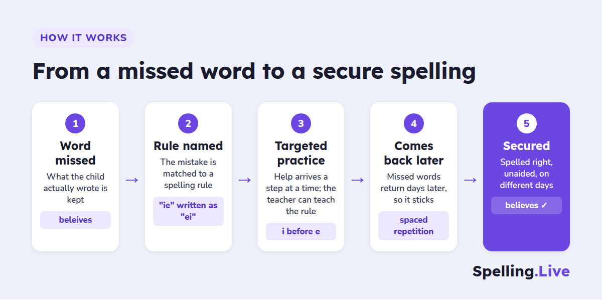 From a missed word to a secure spelling in five steps: the word is missed and what the child wrote is kept (beleives); the rule is named ("ie" written as "ei"); targeted practice, with help a step at a time and the teacher teaching the rule; the word comes back days later through spaced repetition; and it is secured when spelled right, unaided, on different days