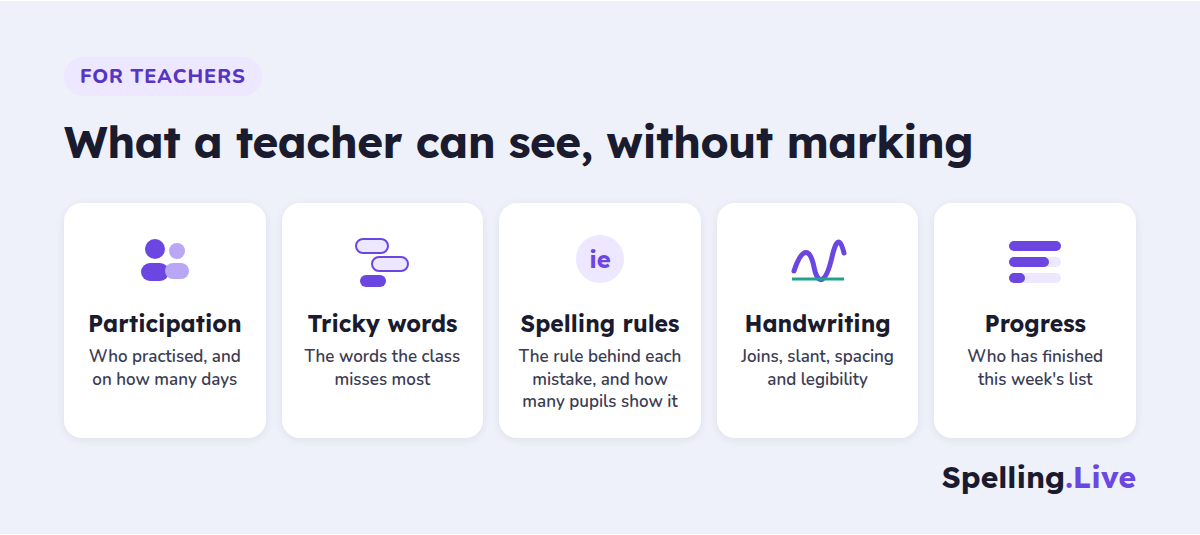 What a teacher can see without marking: participation (who practised and on how many days), tricky words (the words the class misses most), spelling rules (the rule behind each mistake and how many pupils show it), handwriting (joins, slant, spacing and legibility) and progress (who has finished this week's list)